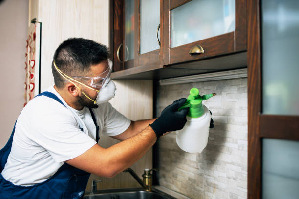 Best Local Pest Control Services  in Robinson, TX