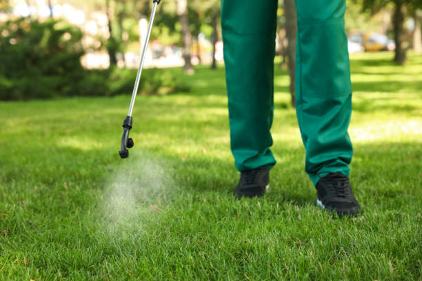 Wasp Removal Services in Robinson, TX