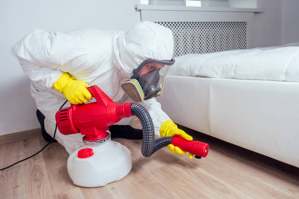 Professional Pest Control in Robinson, TX