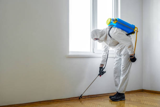 Professional Pest Control in Robinson, TX