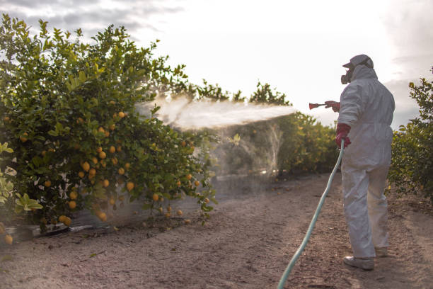  Robinson, TX Pest Control Pros