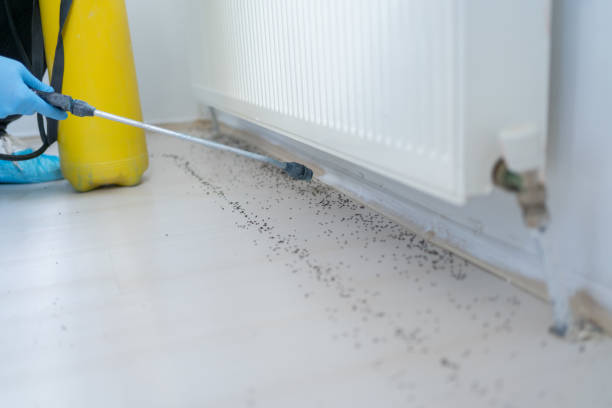 Best Pest Prevention Services  in Robinson, TX